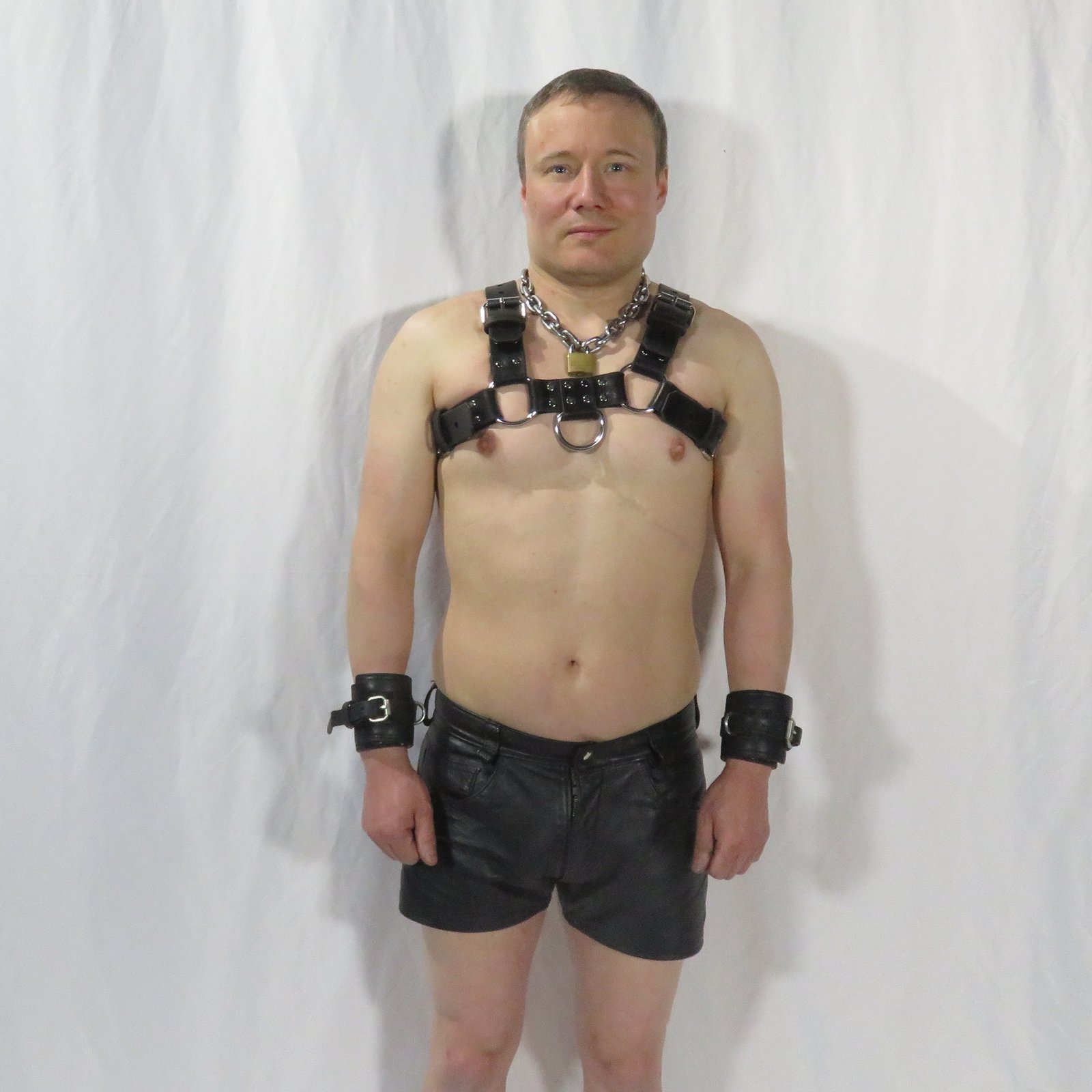 Bulldog Harness being worn